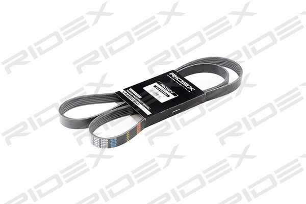 V-Ribbed Belt (305P0250)