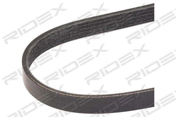 V-Ribbed Belt (305P0301)