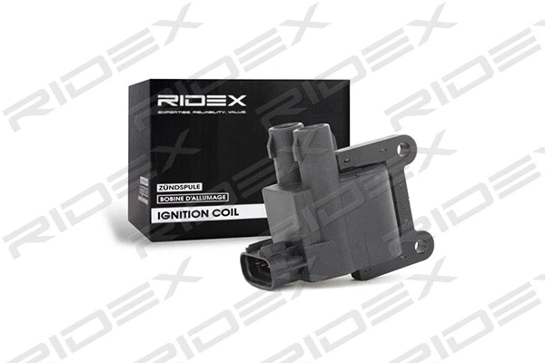 Ignition Coil (689C0121)