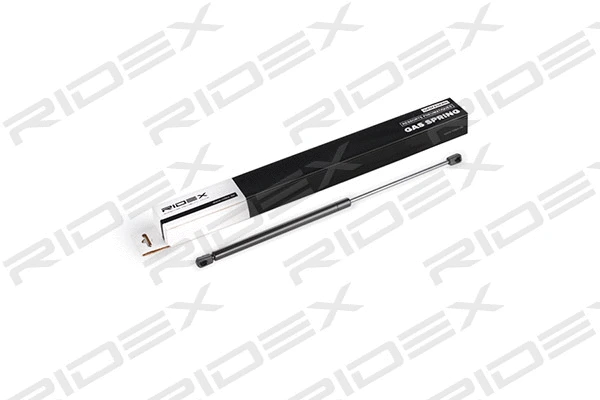 Gas Spring, boot/cargo area (219G0600)