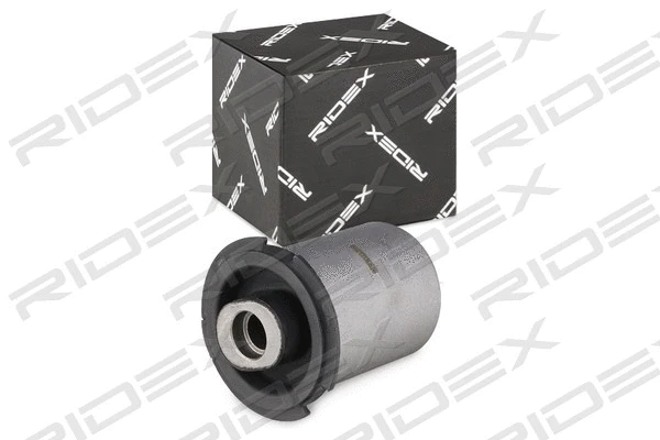 Mounting, control/trailing arm (251T0391)