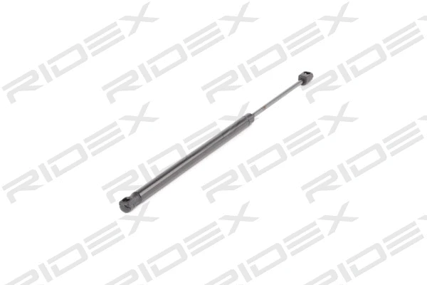Gas Spring, boot/cargo area (219G0426)