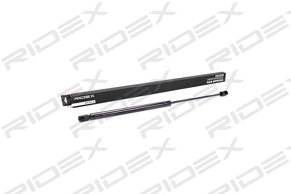 Gas Spring, boot/cargo area (219G0026)
