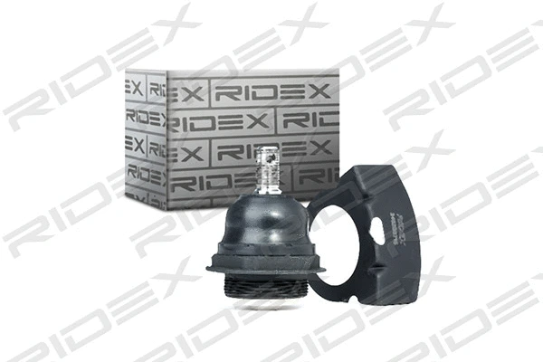 Ball Joint (2462S0215)