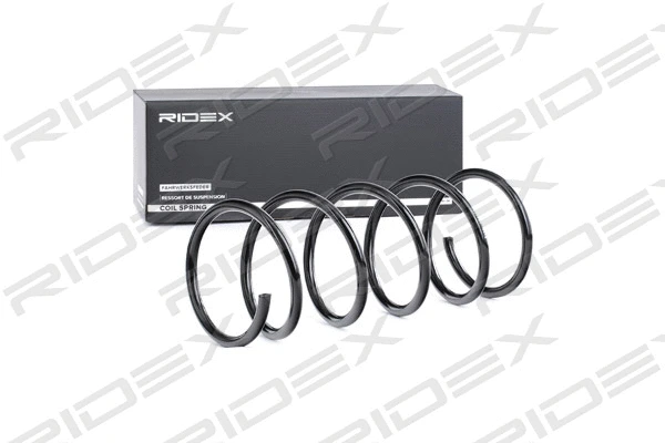 Suspension Spring (188C0469)