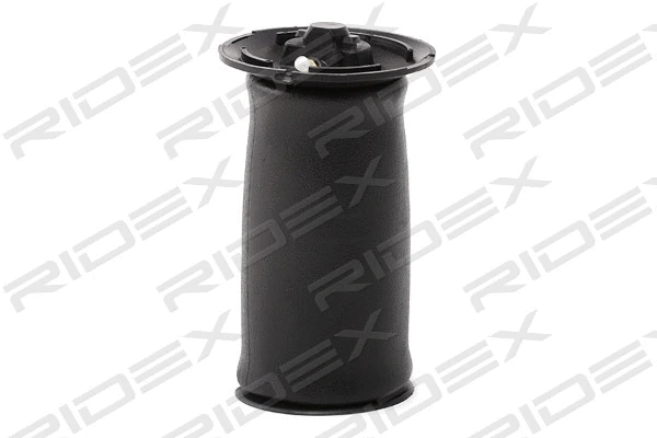 Air Spring, suspension