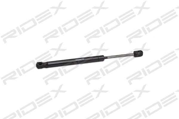 Gas Spring, boot/cargo area (219G0659)