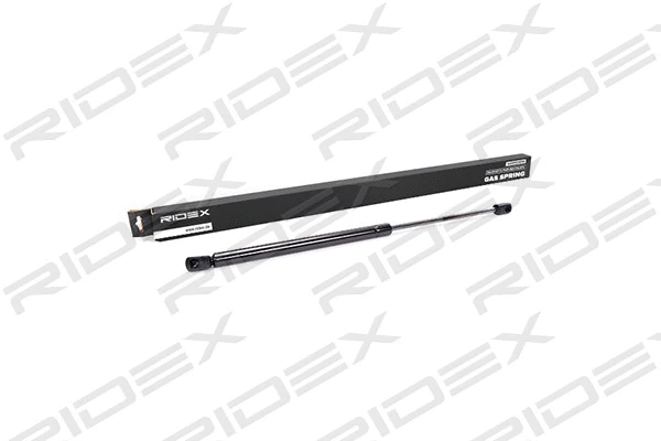 Gas Spring, boot/cargo area (219G0161)
