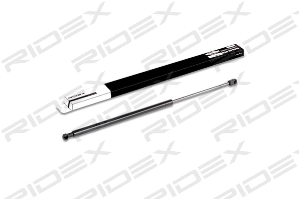 Gas Spring, boot/cargo area (219G0150)