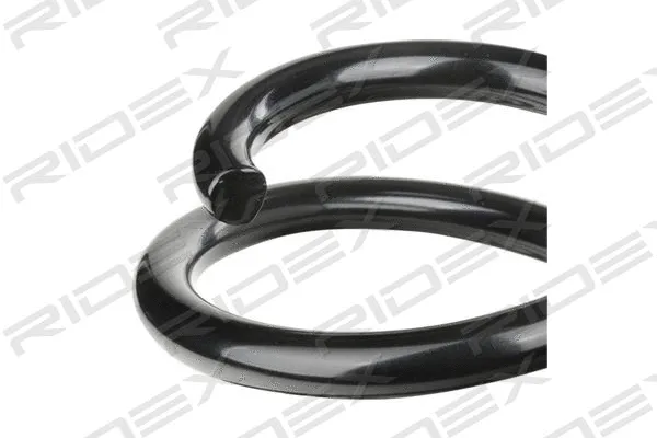 Suspension Spring (188C0242)