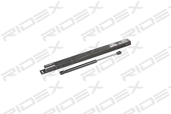 Gas Spring, boot/cargo area (219G0519)