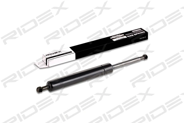 Gas Spring, boot/cargo area (219G0349)