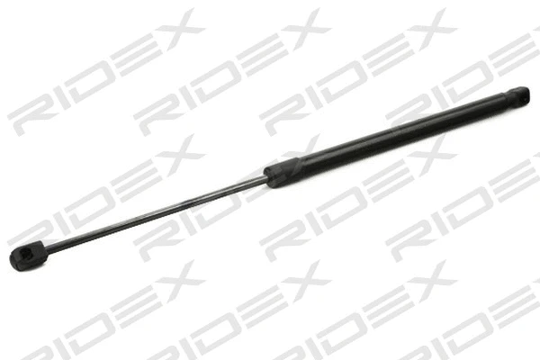 Gas Spring, boot/cargo area (219G0856)
