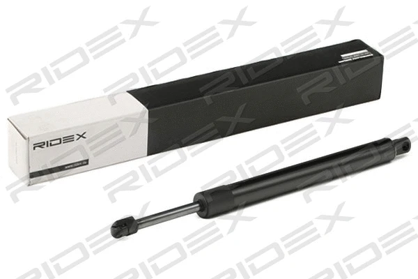 Gas Spring, boot/cargo area (219G0883)