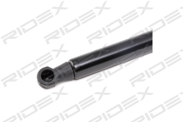 Gas Spring, boot/cargo area (219G0676)