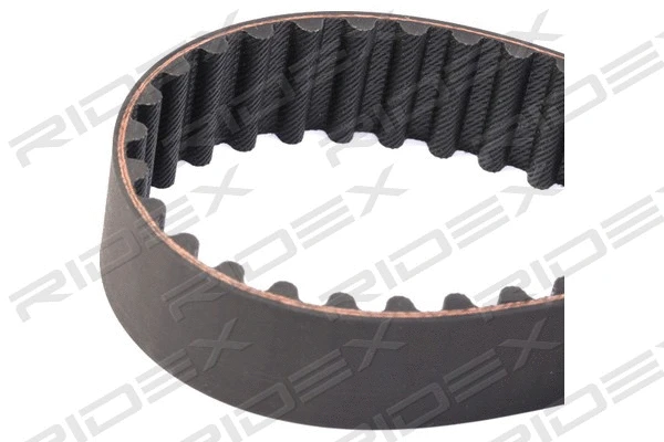 Timing Belt