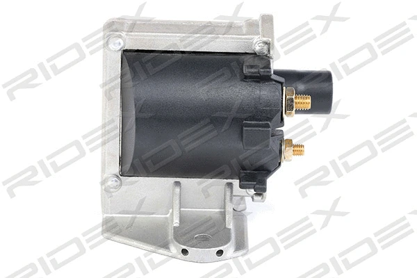 Ignition Coil (689C0242)