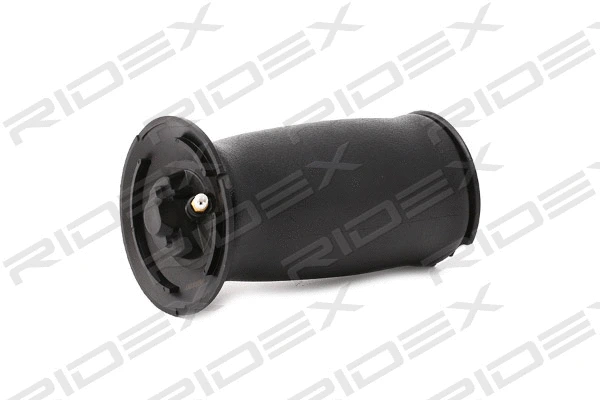 Air Spring, suspension