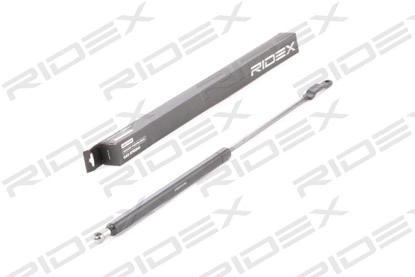 Gas Spring, boot/cargo area (219G0271)