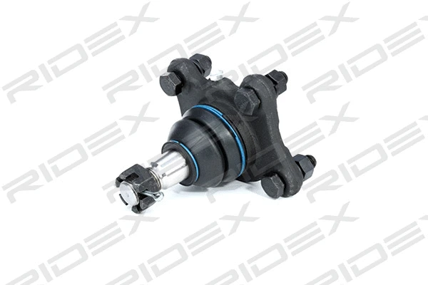 Ball Joint (2462S0101)