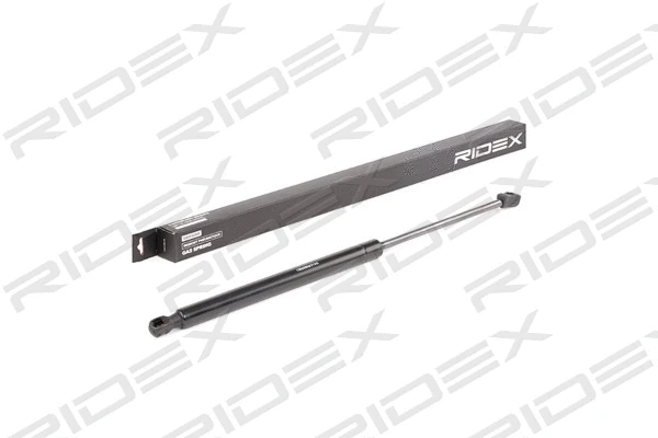 Gas Spring, boot/cargo area