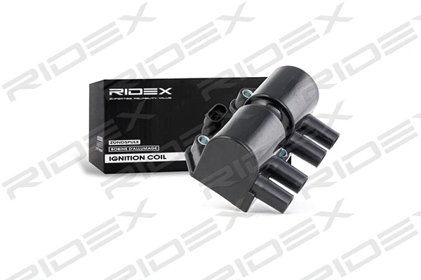 Ignition Coil (689C0066)