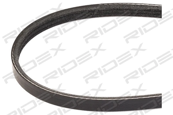 V-Ribbed Belt (305P0292)