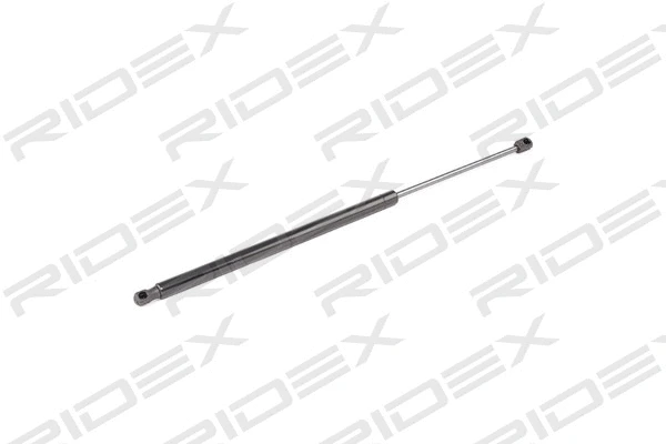 Gas Spring, boot/cargo area (219G0299)