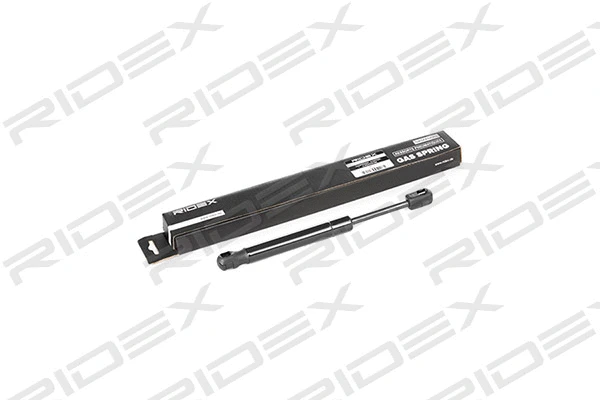 Gas Spring, rear window (219G0464)
