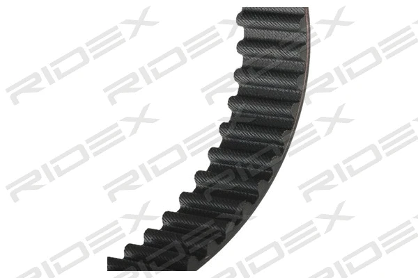 Timing Belt