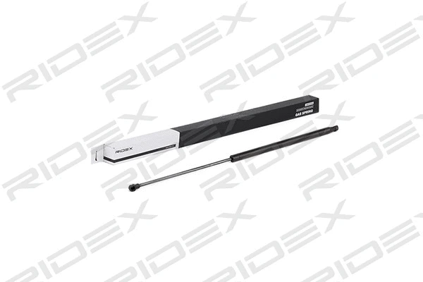 Gas Spring, boot/cargo area