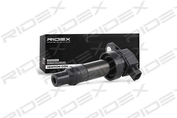Ignition Coil (689C0171)