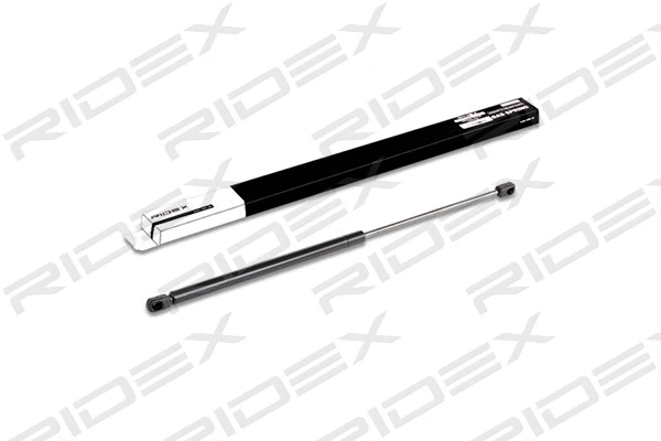 Gas Spring, boot/cargo area (219G0183)