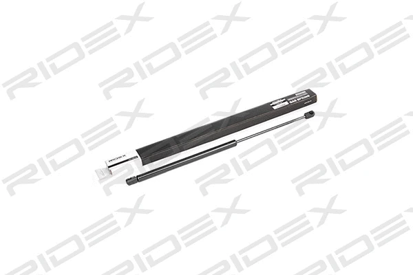 Gas Spring, boot/cargo area (219G0257)