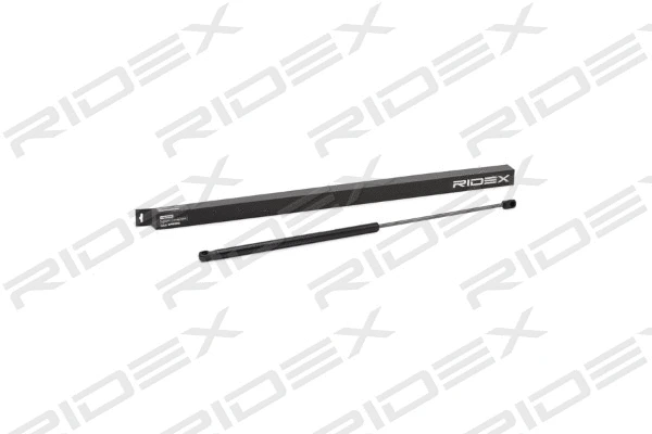 Gas Spring, boot/cargo area (514G0138)