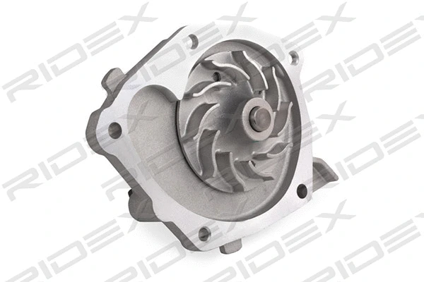 Water Pump & Timing Belt Kit