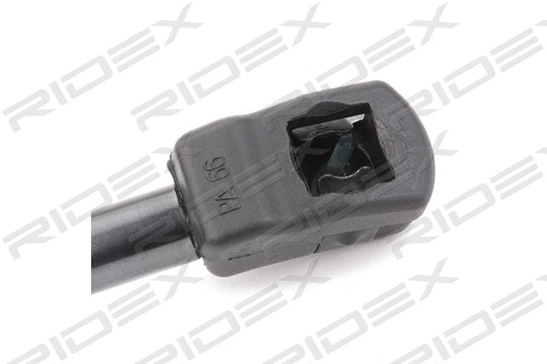 Gas Spring, boot/cargo area (219G0148)