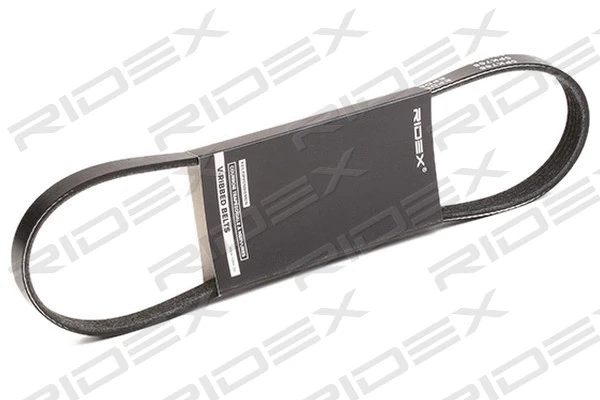 V-Ribbed Belt (305P0251)