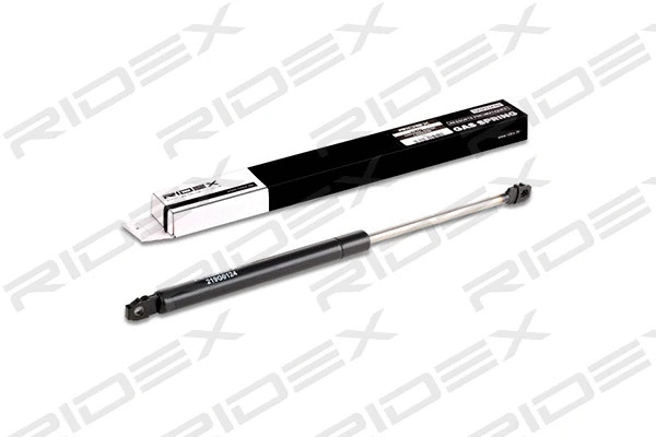 Gas Spring, boot/cargo area (219G0124)
