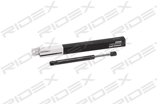 Gas Spring, boot/cargo area