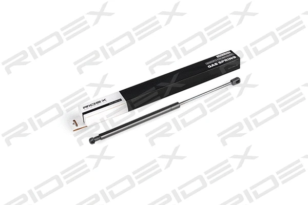 Gas Spring, boot/cargo area (219G0439)