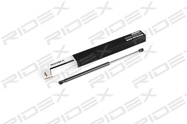 Gas Spring, boot/cargo area (219G0631)