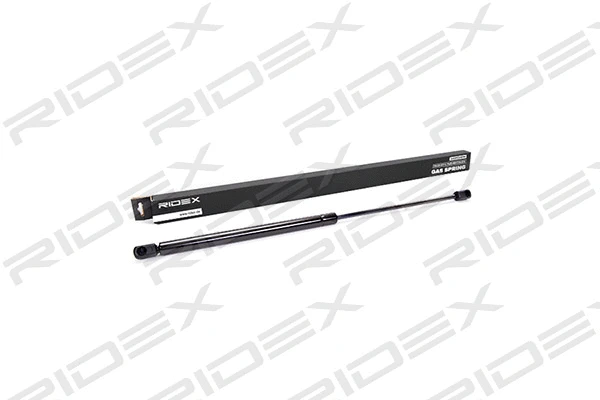 Gas Spring, boot/cargo area (219G0062)