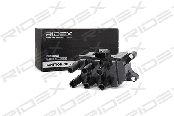 Ignition Coil (689C0079)