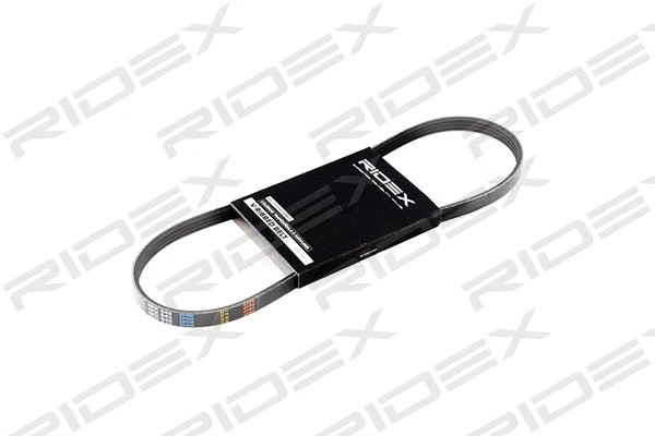 V-Ribbed Belt (305P0124)