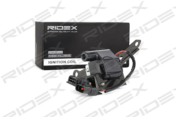 Ignition Coil (689C0198)