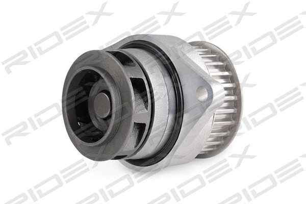 Water Pump & Timing Belt Kit