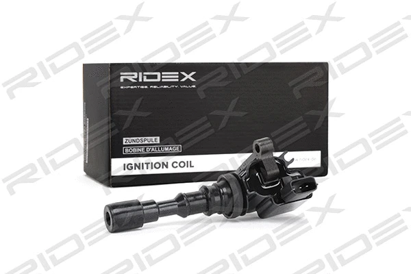 Ignition Coil (689C0177)