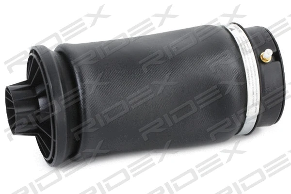 Air Suspension Strut