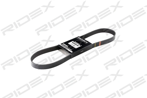 V-Ribbed Belt (305P0129)